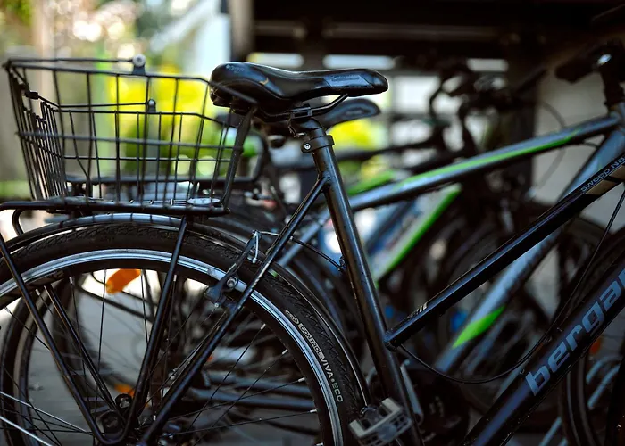 Baltico * Mielno (Koszalin)